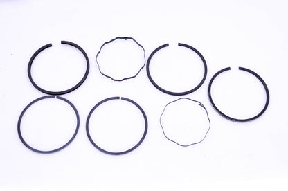 New OEM Briggs & Stratton 299744 Piston Ring Kit NOS