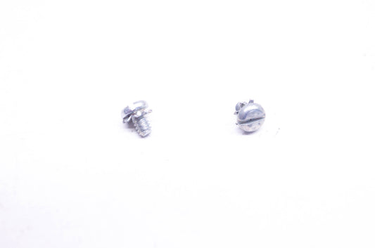 Walbro 96-19 Carburetor Screws Qty 2 NOS