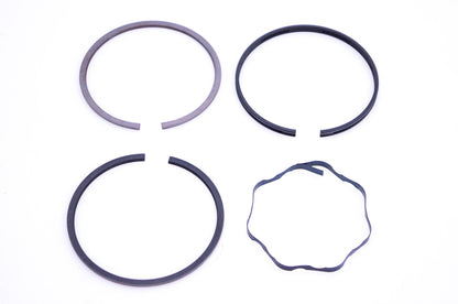 New OEM Briggs & Stratton 391671 Piston Ring Kit NOS