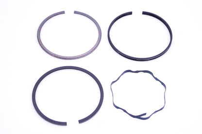 New OEM Briggs & Stratton 391671 Piston Ring Kit NOS