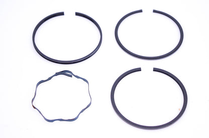 New OEM Briggs & Stratton 391670 Piston Ring Kit NOS
