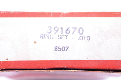 New OEM Briggs & Stratton 391670 Piston Ring Kit NOS