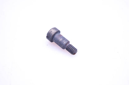 New OEM Briggs & Stratton 23123 Choke Lever Screw NOS