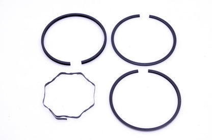 New OEM Briggs & Stratton 394959 Standard Piston Ring Kit NOS