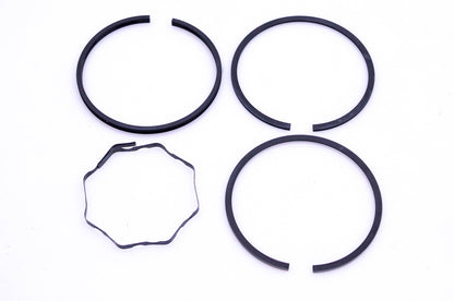 New OEM Briggs & Stratton 394959 Standard Piston Ring Kit NOS