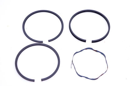 New OEM Briggs & Stratton 393836 Piston Ring .010" Kit NOS