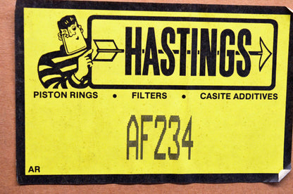 Hastings AF234 Air Filter NOS
