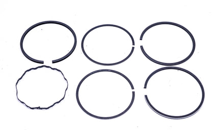 New OEM Briggs & Stratton 392331 Piston Ring Kit NOS