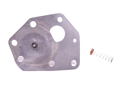 Foley-PLP 116-009, 530048, 299637 Diaphragm Kit NOS
