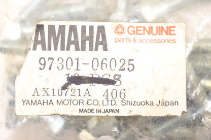New OEM Yamaha 97017-06025-00 Silver Hex Bolt NOS