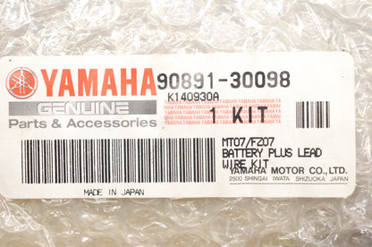 New OEM Yamaha 90891-30098-00 Battery Kit NOS