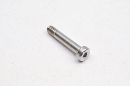 Aftermarket 250000023 Pivot Screw NOS