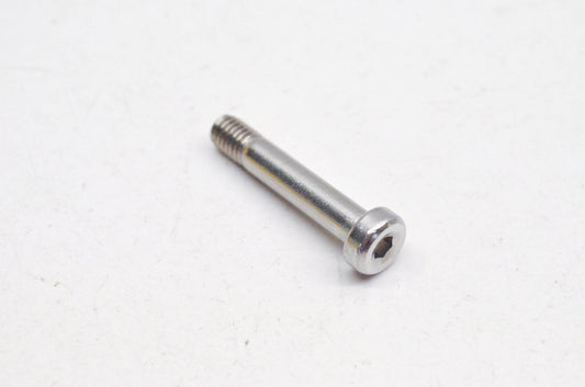 Aftermarket 250000023 Pivot Screw NOS