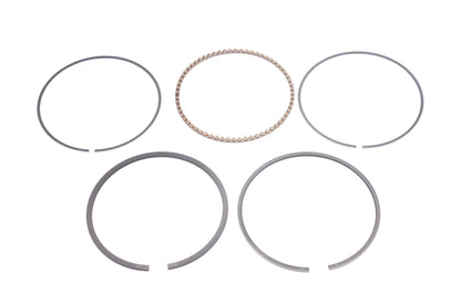 New OEM Polaris 3087234 Piston Ring Kit NOS