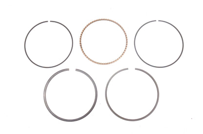 New OEM Polaris 3087234 Piston Ring Kit NOS