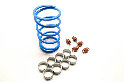 EPI WE391005 Clutch Kit NOS