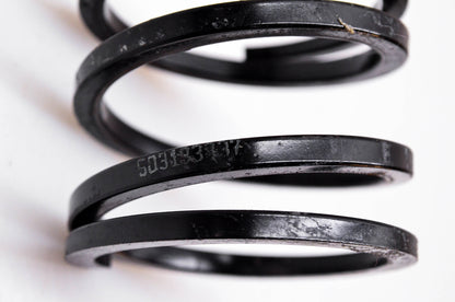 Aftermarket 503193837 Suspension Spring NOS