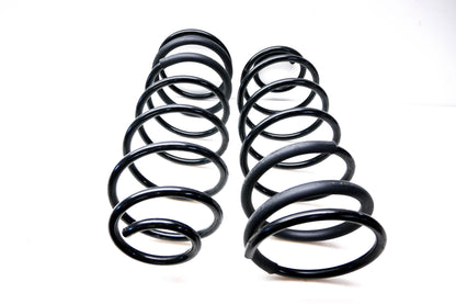 Roadmates 110160, CC630 Coil Spring Kit NOS
