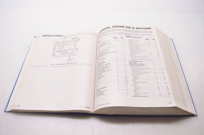 Motor 0-87851-875-4, 21095 Wiring Diagram Manual General Motors Chrysler Ford 1995