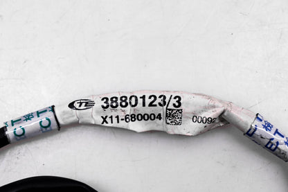 OEM Triumph T3880123 Extension Cable
