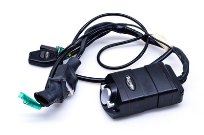 OEM Triumph LJL07022801 Alarm Module w/ Fob