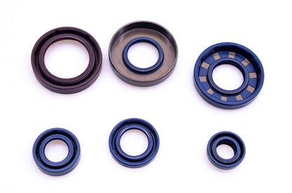 Aprilia 8206304 Oil Seal Kit NOS