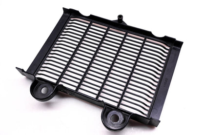 OEM Triumph T2102134 Black Radiator Grill