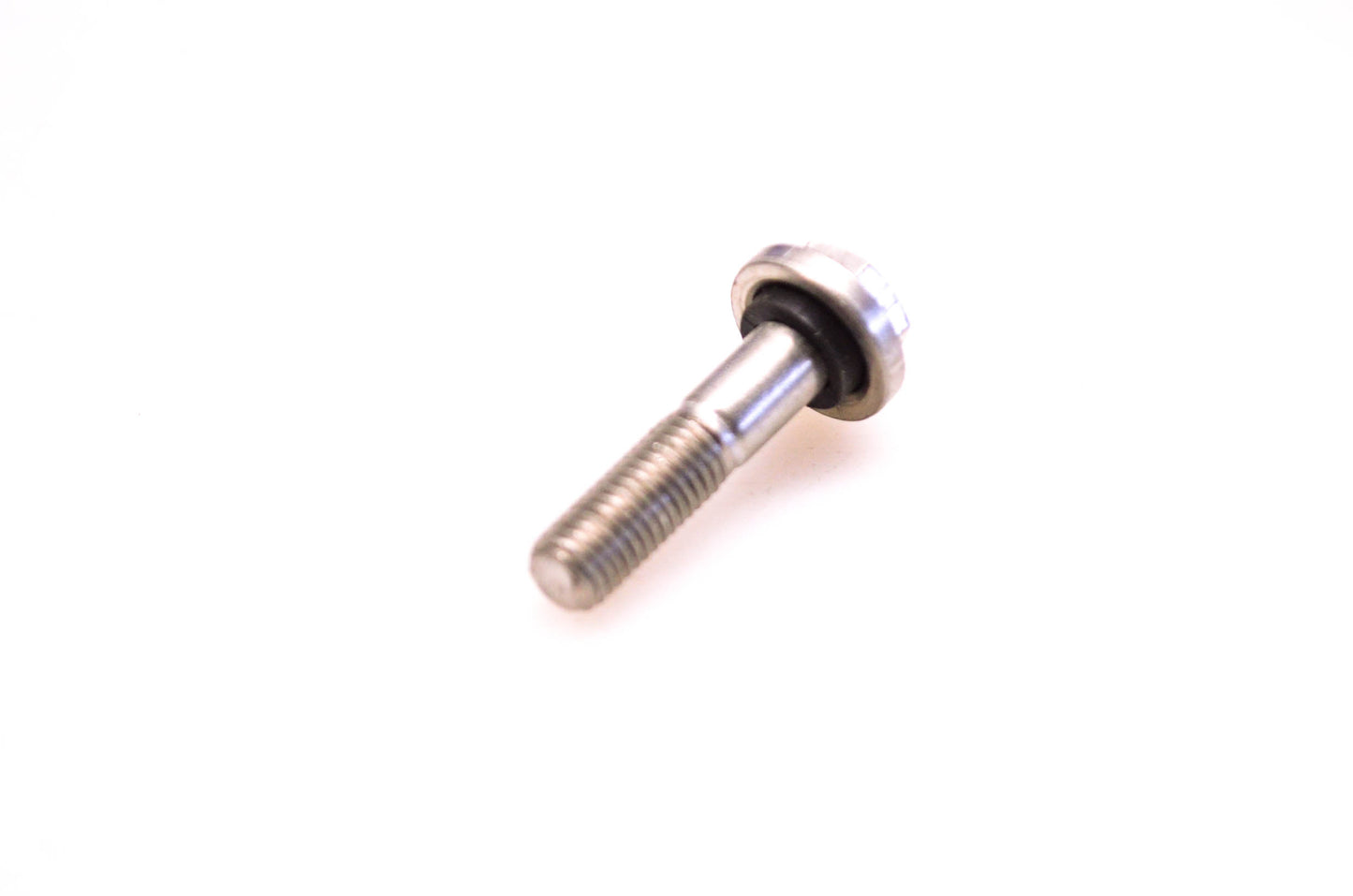 OMC 317763 Screw & Seal NOS