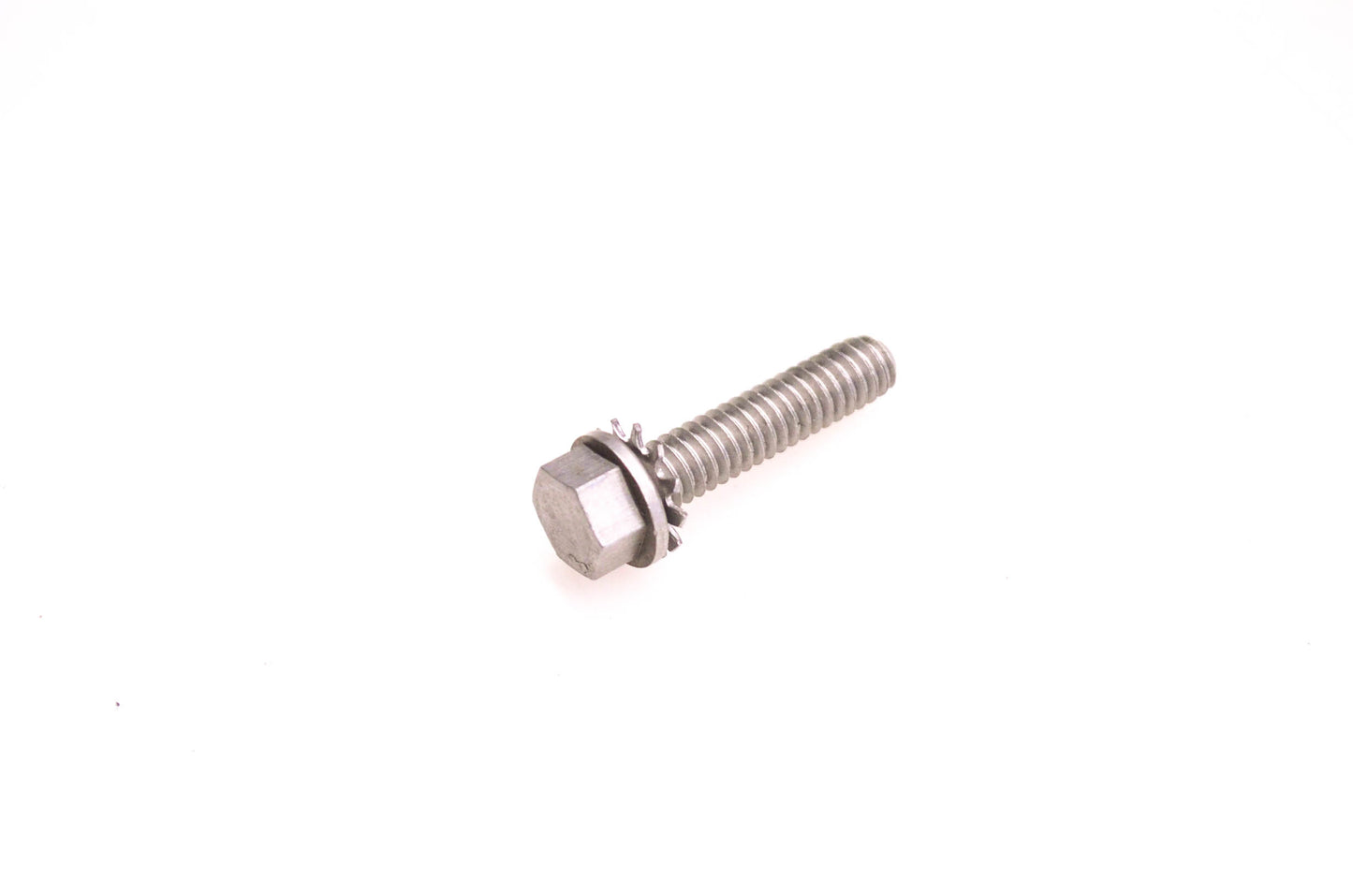 OMC 310063 Screw & Washer NOS