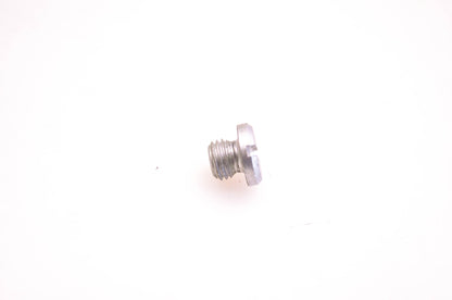 OMC 317501 Screw Plug NOS
