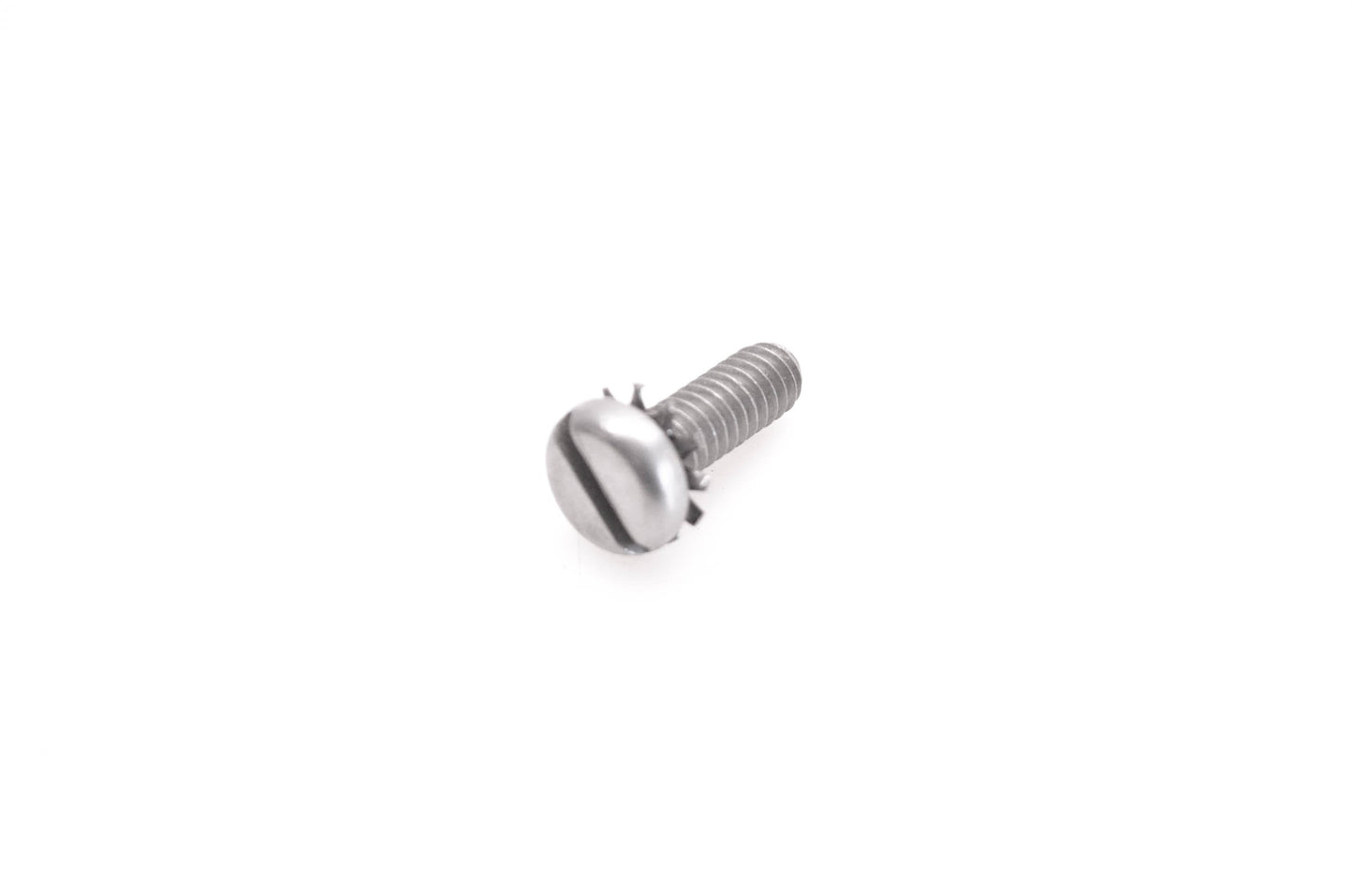 OMC 309021 Screw w/ Washer NOS