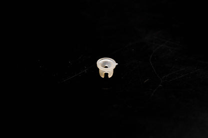 OMC 304216 Bushing NOS