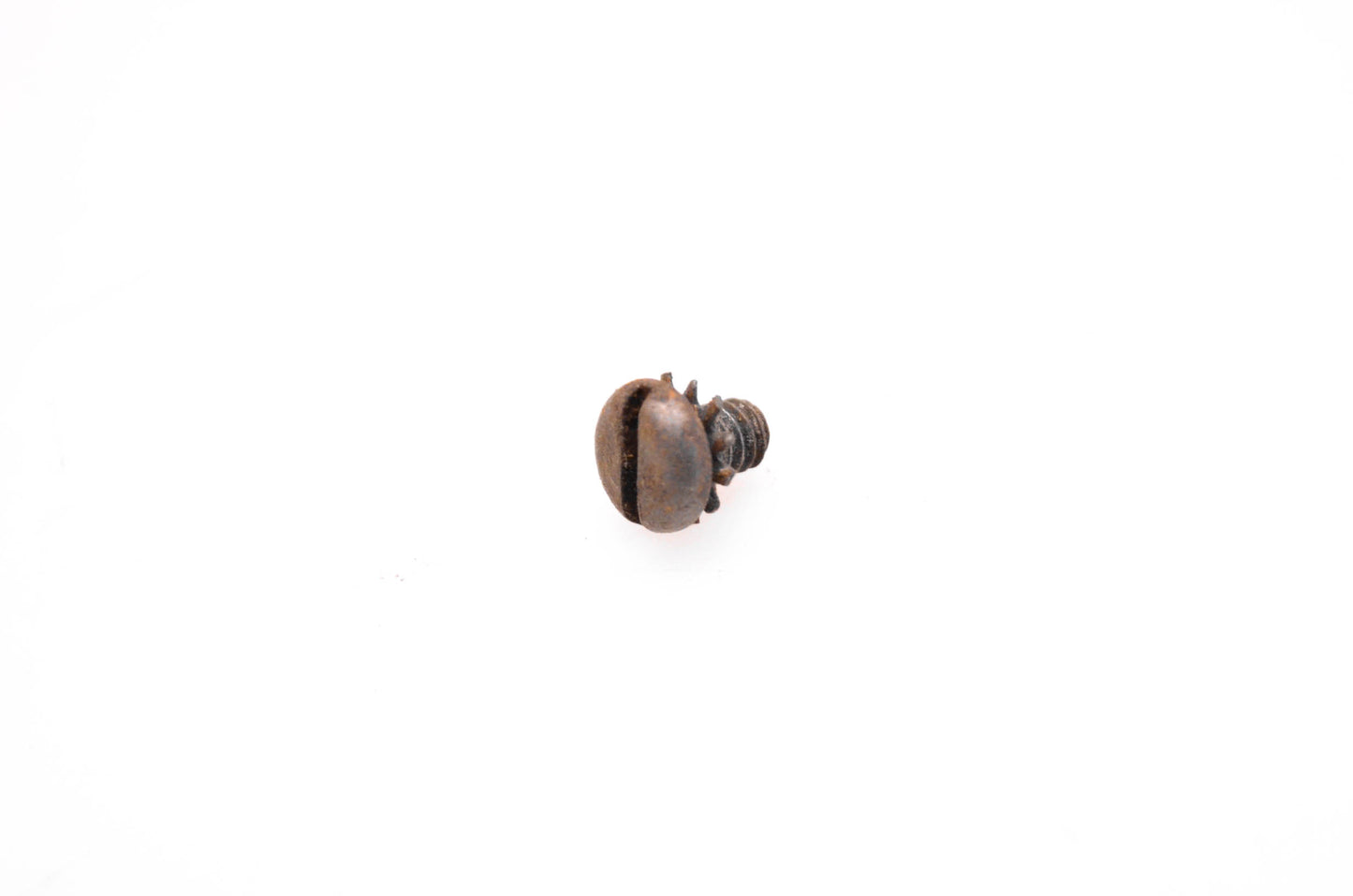 OMC 312811 Screw w/ Washer NOS