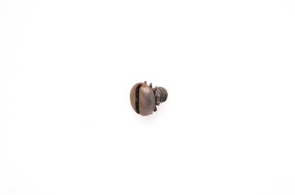 OMC 312811 Screw w/ Washer NOS