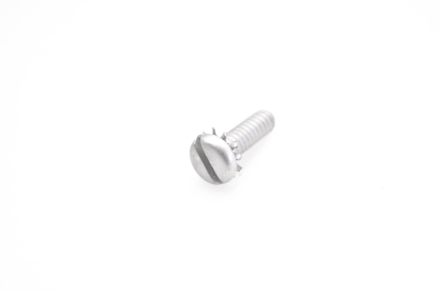 OMC 302948 Screw w/ Washer NOS