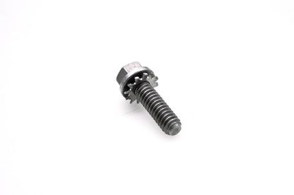 OMC 307155 Screw & Washer NOS