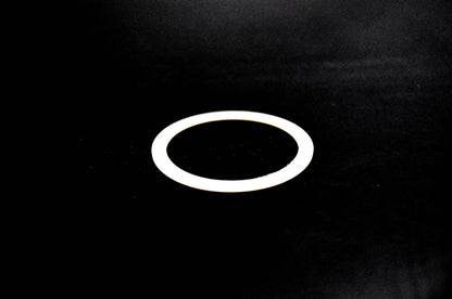 OMC 305575 Thrust Washer NOS