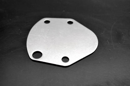 OMC 311042 Water Plate NOS