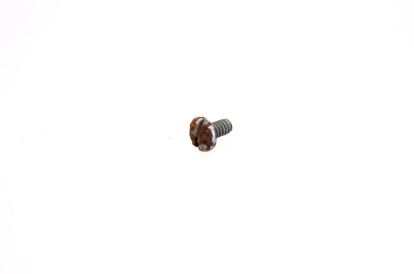 OMC 312852 Valve Screw NOS