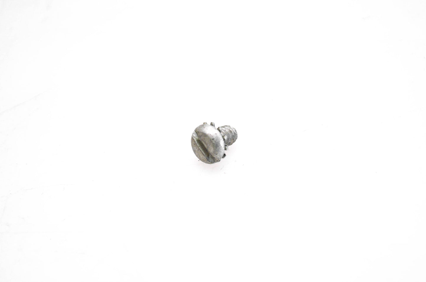 OMC 312811 Screw w/ Washer NOS