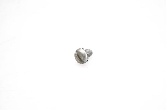 OMC 312811 Screw w/ Washer NOS