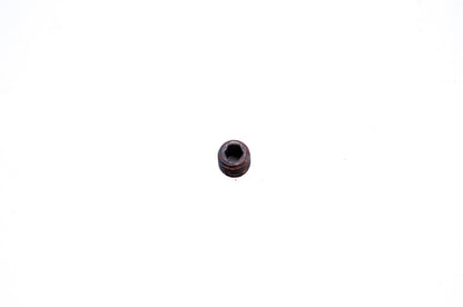 OMC 311944 Allen Head Screw NOS