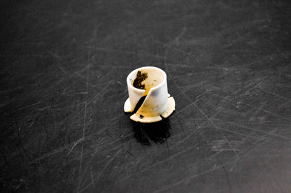 OMC 305581 Bushing