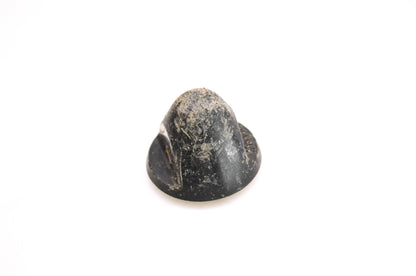 OMC 305394 Propeller Nut
