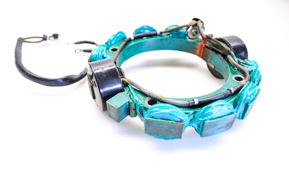 OMC 510839 Stator Assembly