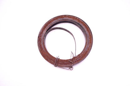 OMC 326877 Recoil Rewind Starter Spring NOS
