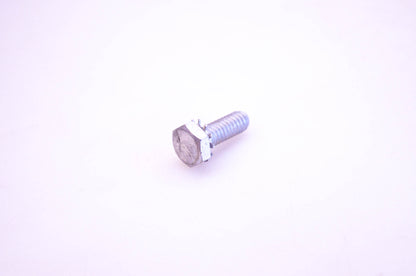 OMC 303698 Screw & Lock Washer NOS