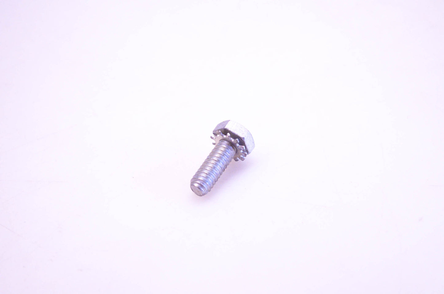 OMC 303698 Screw & Lock Washer NOS