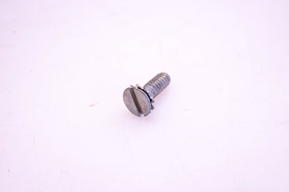 OMC 307163 Screw & Lock Washer NOS