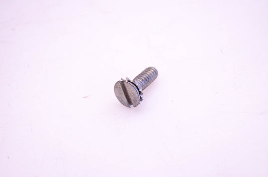 OMC 307163 Screw & Lock Washer NOS